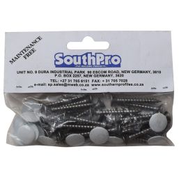 PVC BOARD FIXING SCREW & CAP (25/BAG)