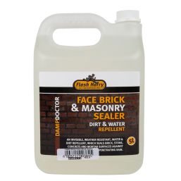 FLASH HARRY FACE BRICK SEALER 5L