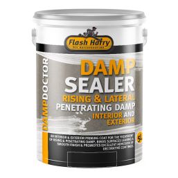 FLASH HARRY DAMP SEAL 5L