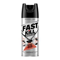 FAST KILL INSECT SPRAY ODOURLESS 300ML