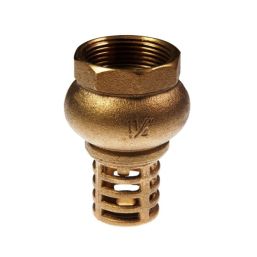 FOOT VALVE H/D BRASS 25MM