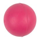 COMPLETE DOG TOY VINYL BALL