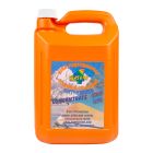 4 SEASONS ANTI-FREEZE 100% CONCENTRATE 5L